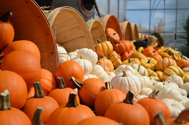 gourds | Creekstone Village