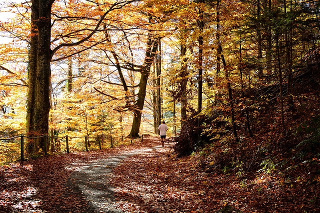 Nature | Creekstone Village